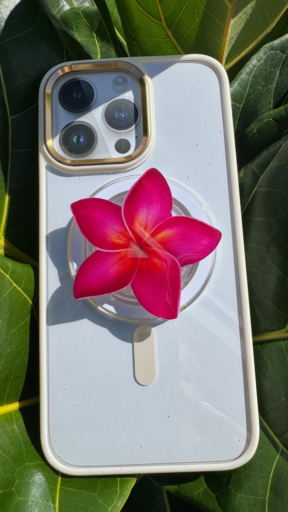 Plumeria Phone PopUp