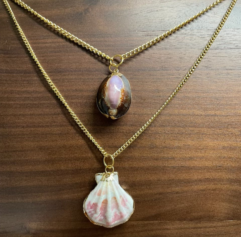 Shell + Shine