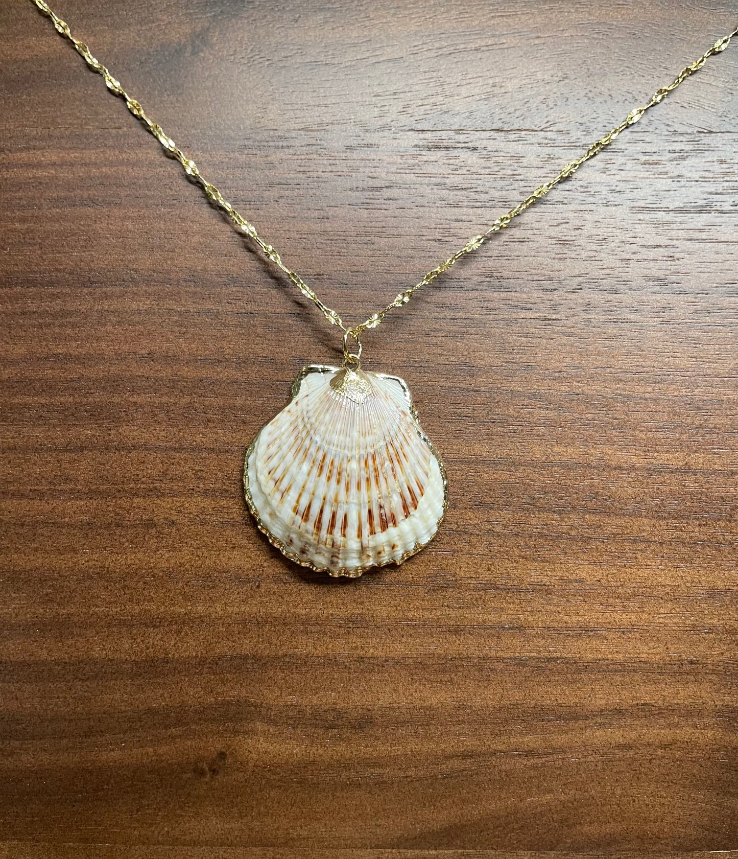 Golden Edge Shell Necklace