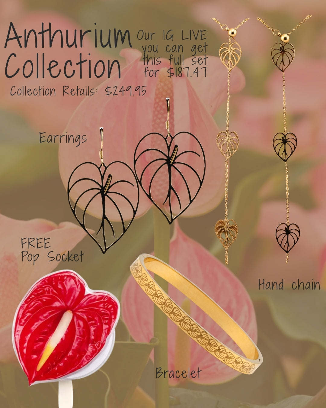 Live : Anthurium Collection