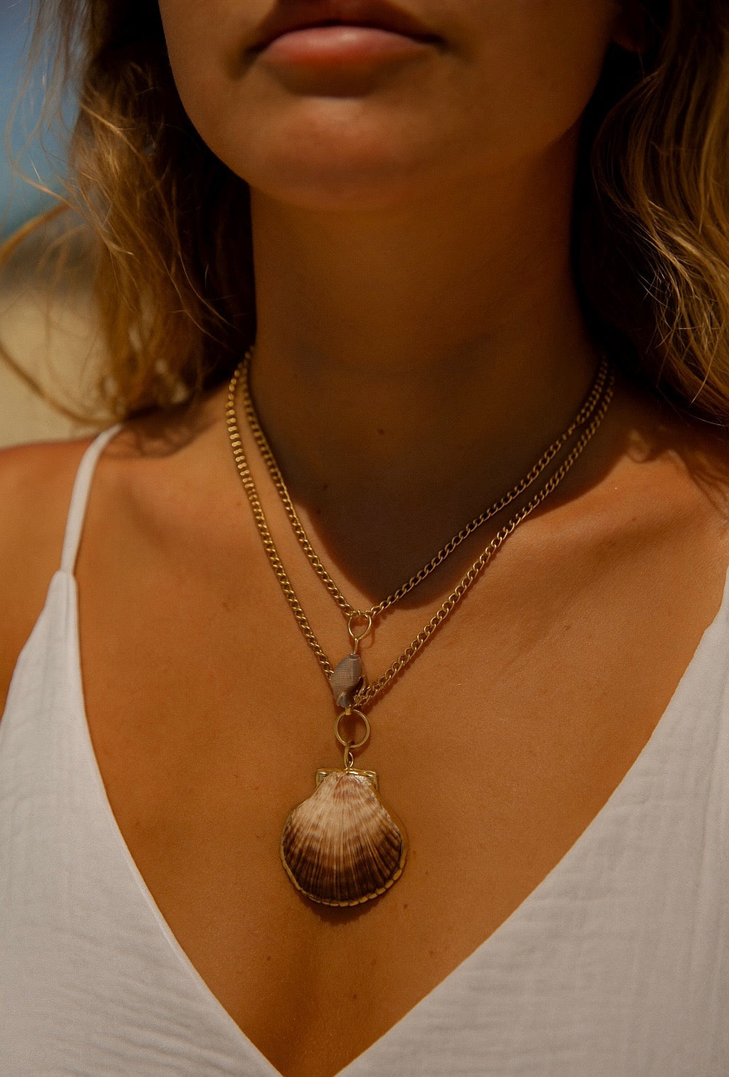 🐚 Island Echo Collection