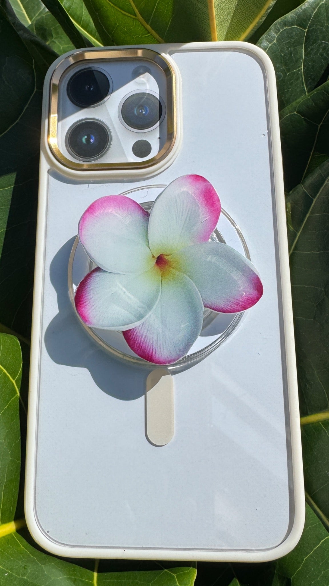 Plumeria Phone PopUp