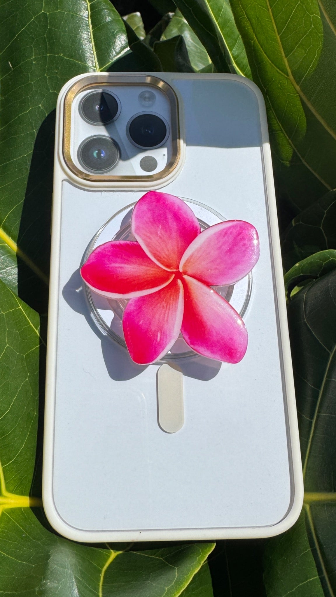Plumeria Phone PopUp