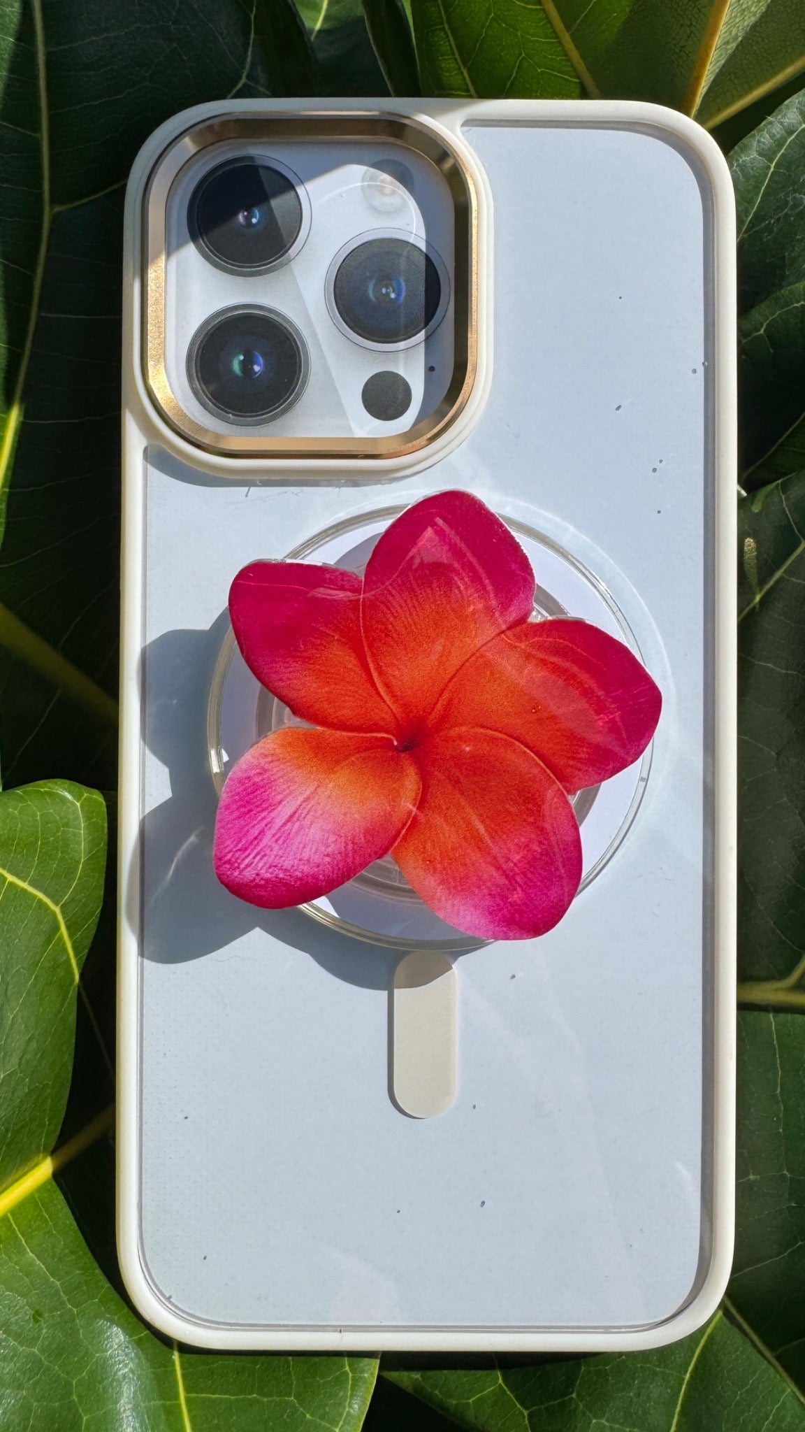 Plumeria Phone PopUp