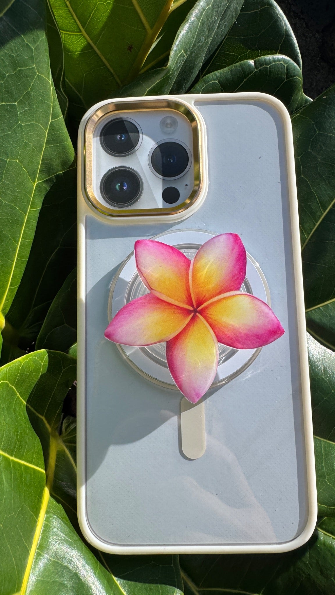 Plumeria Phone PopUp