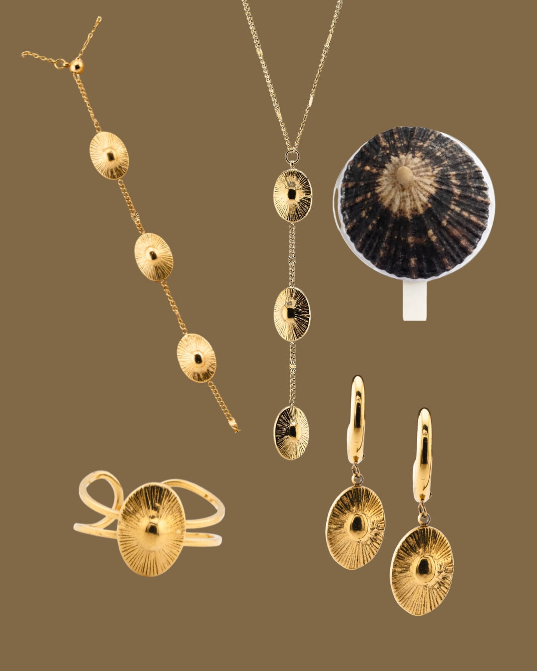 LIVE: Opihi Collection