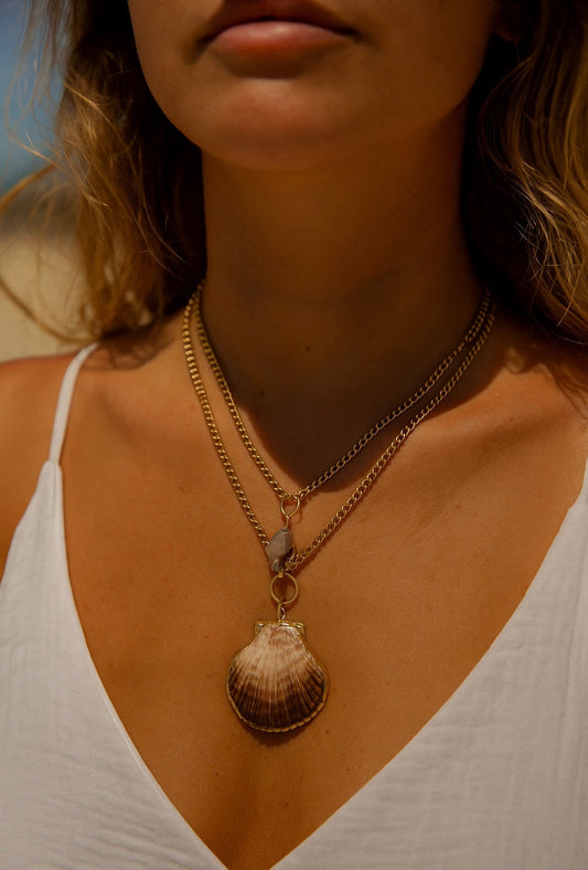 Shell + Shine