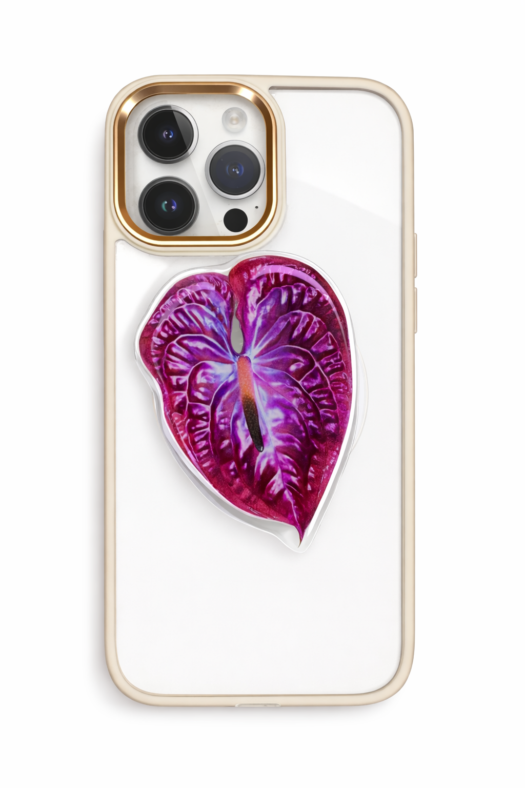 Anthurium Pop Socket