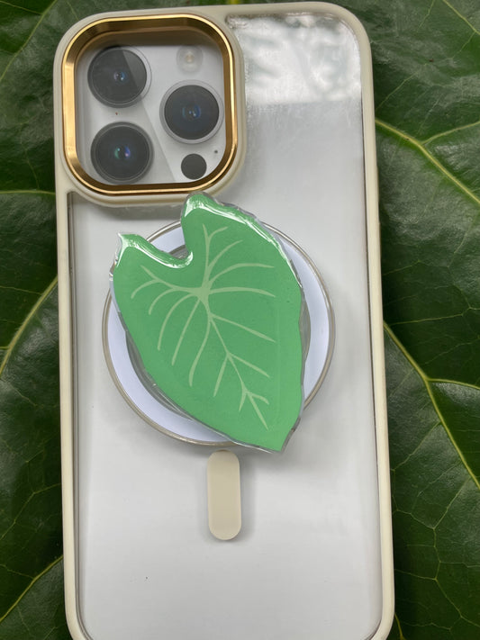 Kalo Plant Phone Pop-Up