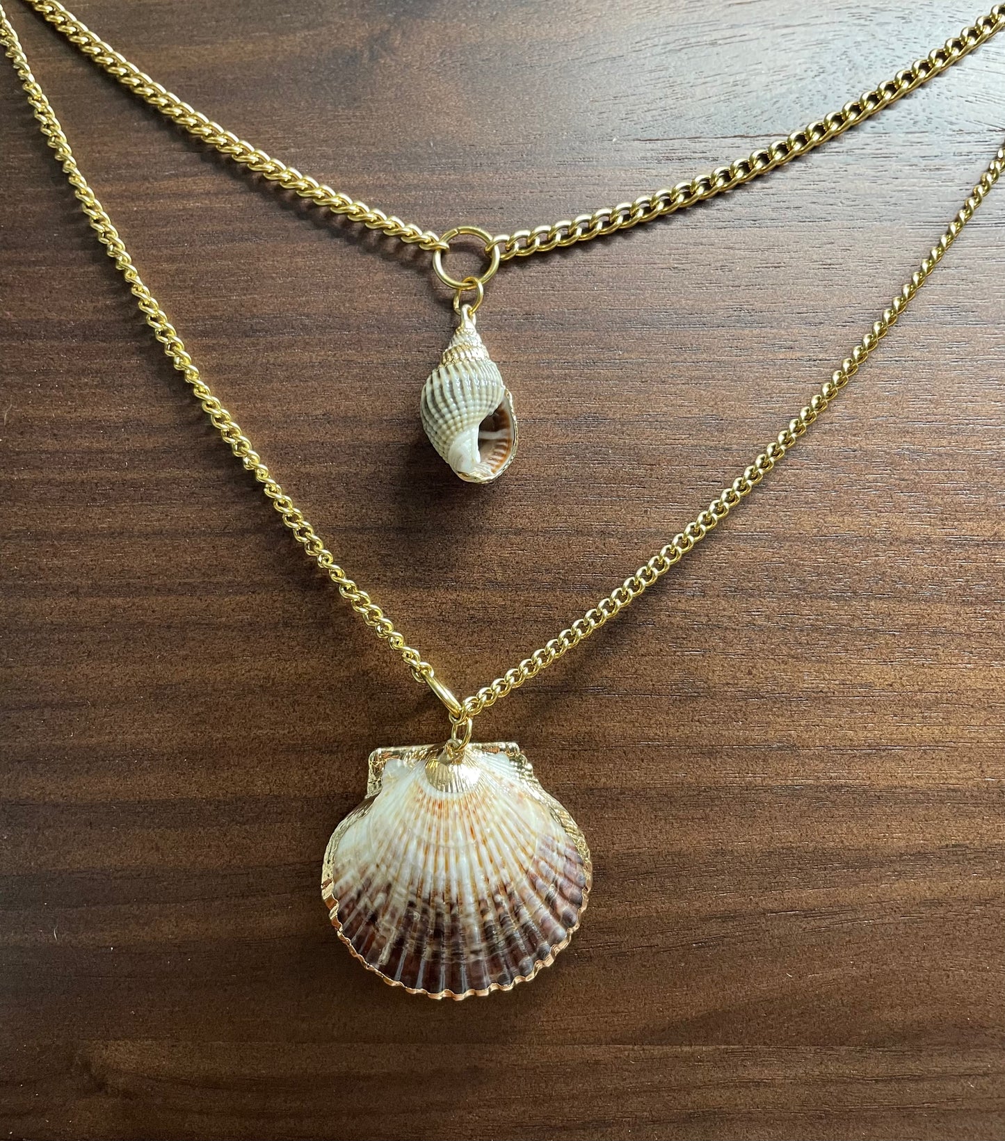 Shell + Shine