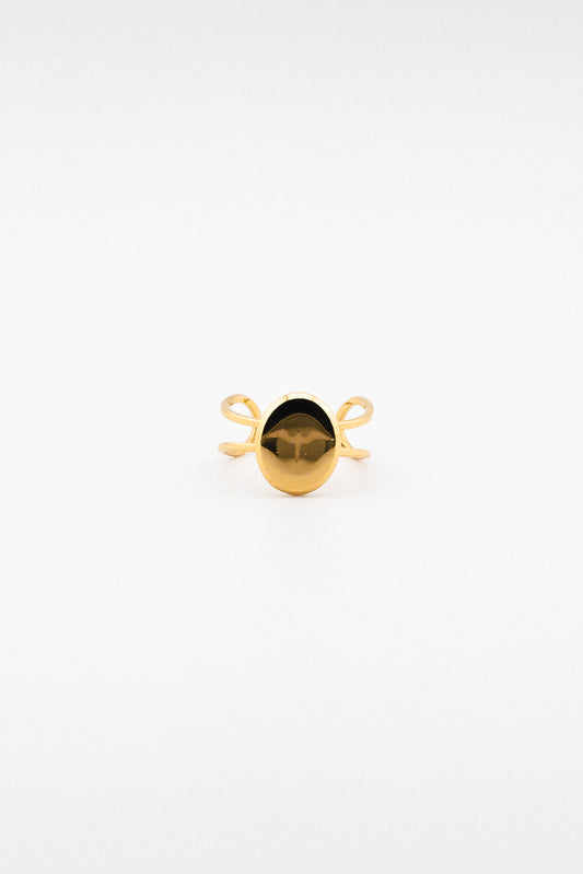 Iwa Bird Signet Ring (R10)