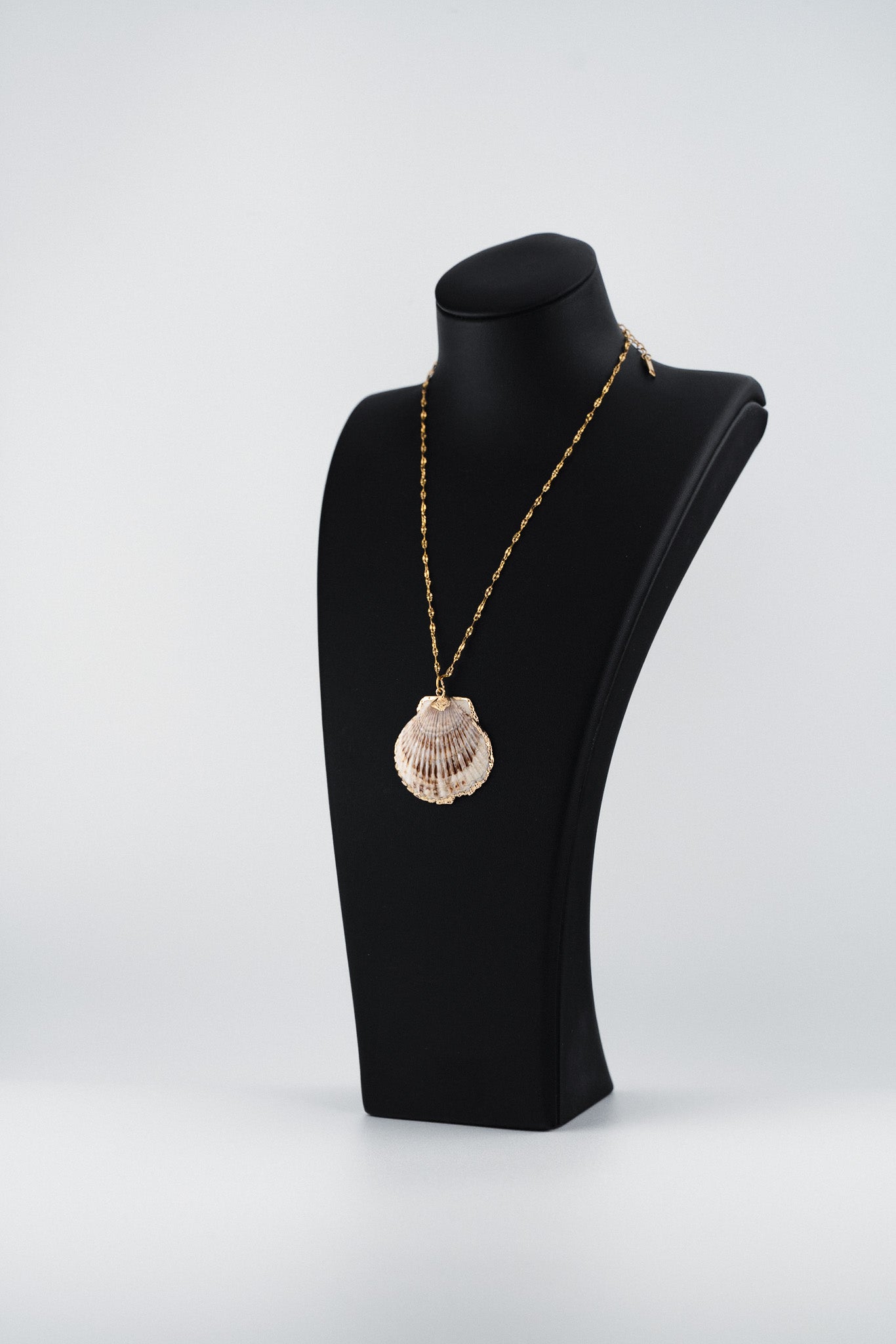 Golden Edge Shell Necklace