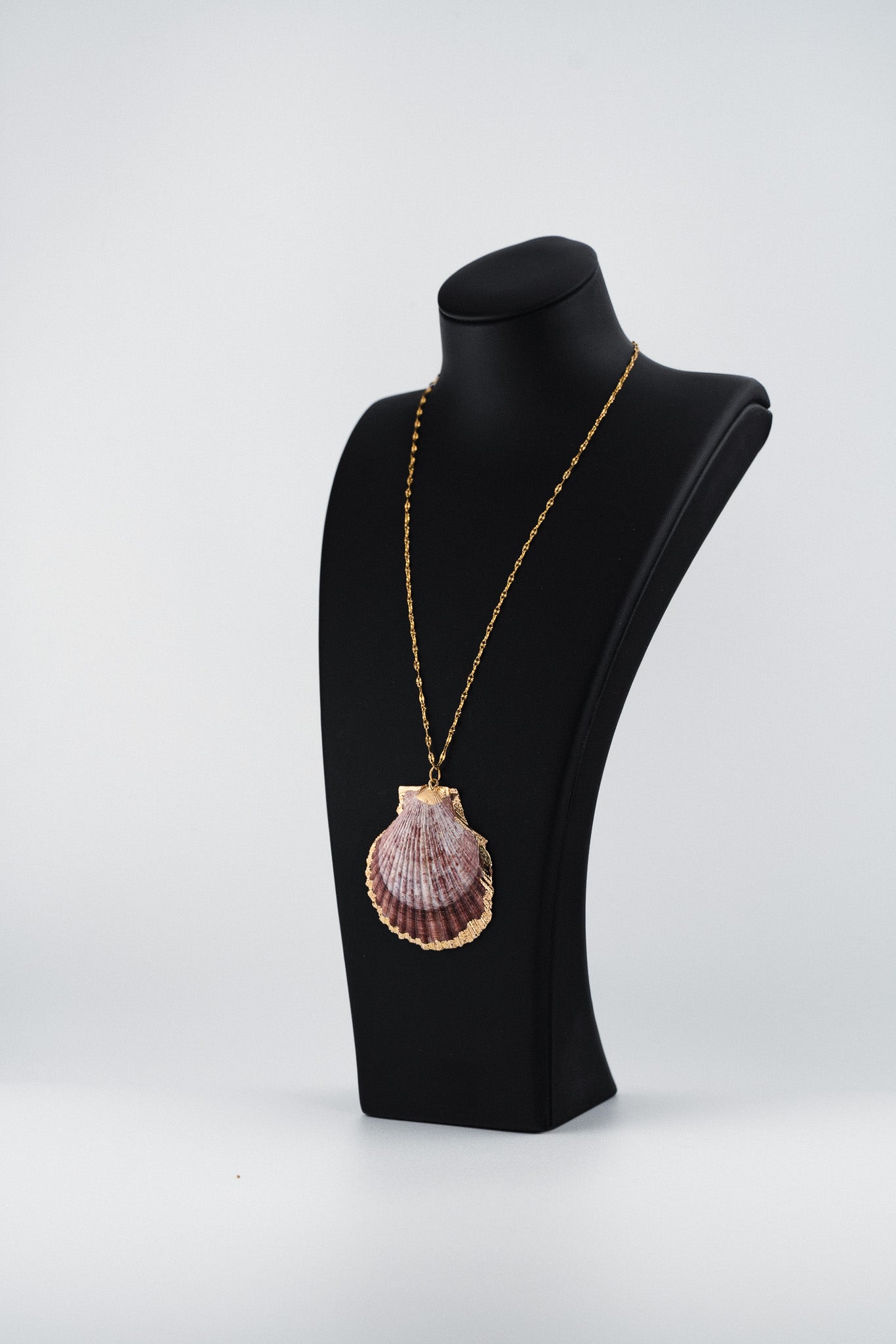 Golden Edge Shell Necklace