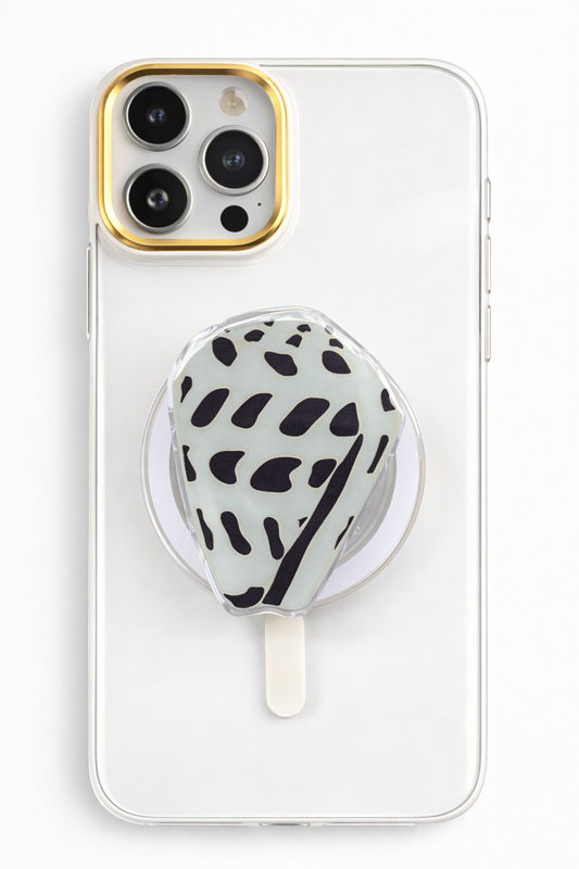 Hebrew Cone Shell Phone Grip
