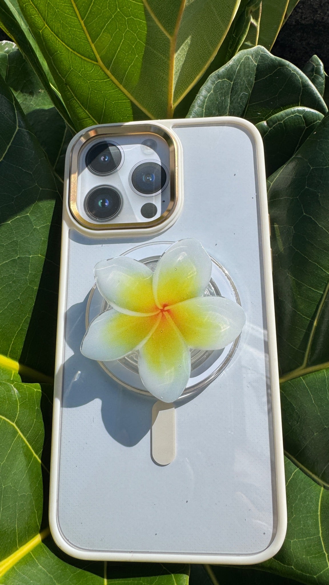 Plumeria Phone PopUp