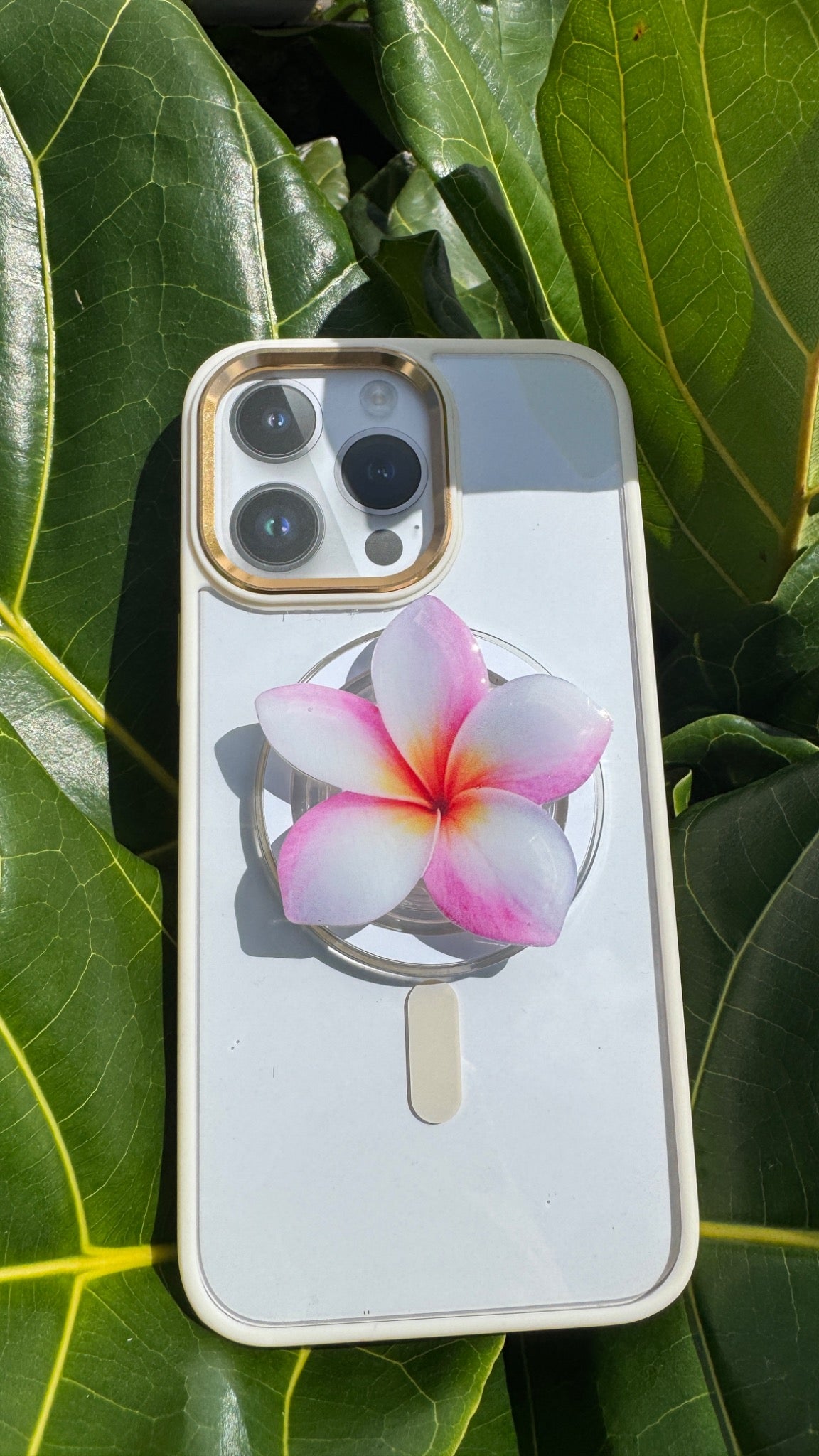Plumeria Phone PopUp