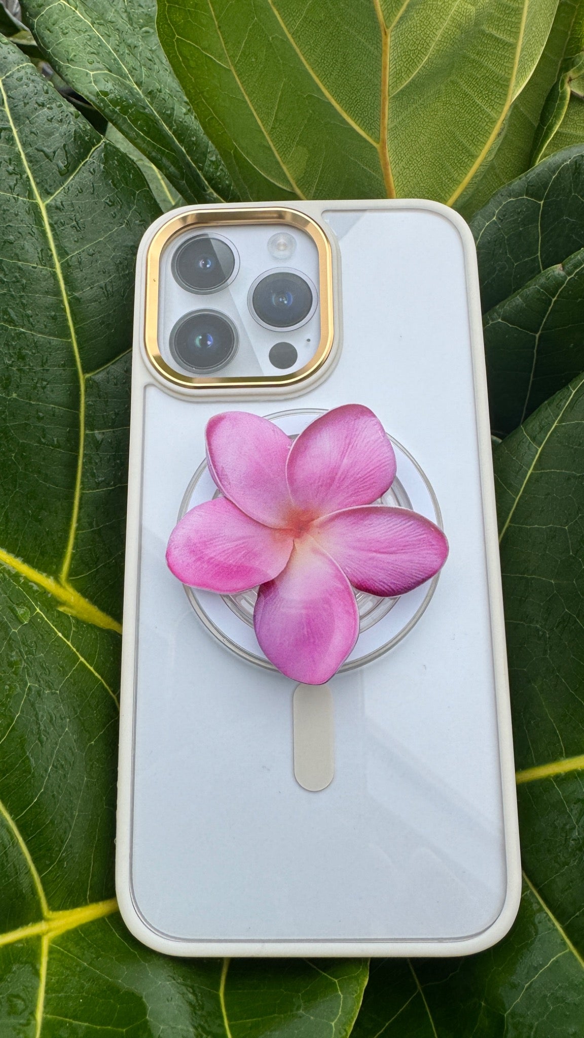 Plumeria Phone PopUp