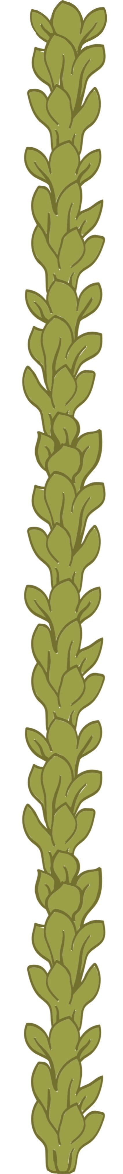 Pakalana Lei Stickers