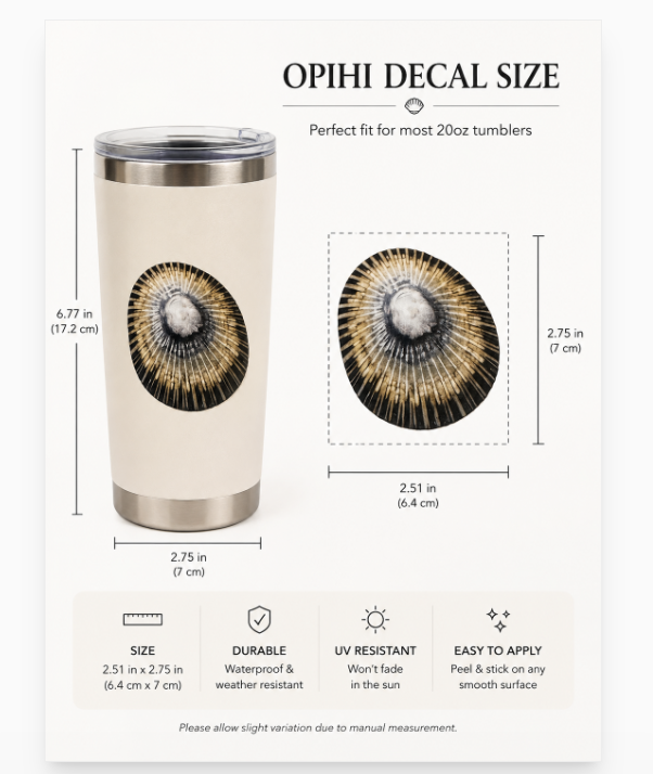 Opihi Shell Transfer Sticker